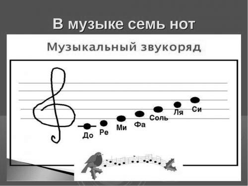 7 нот в музыке картинки