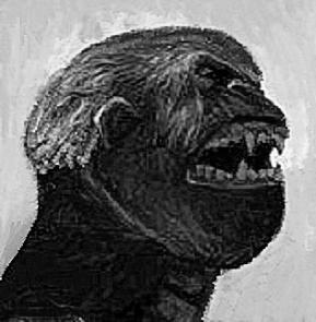 Аватар пользователя mironbagrov21