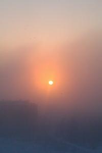 Аватар пользователя REDkaya